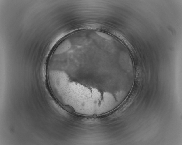 X0000114421083200911061617
