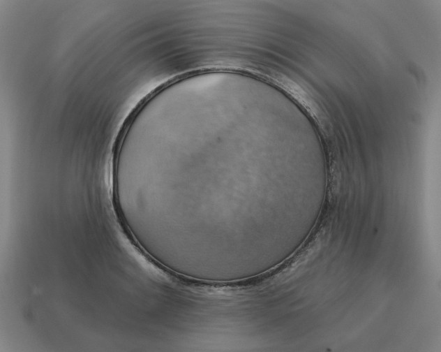 X0000114421084200911061617