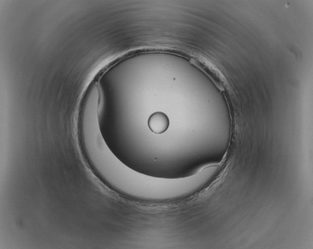 X0000114421085200911061617