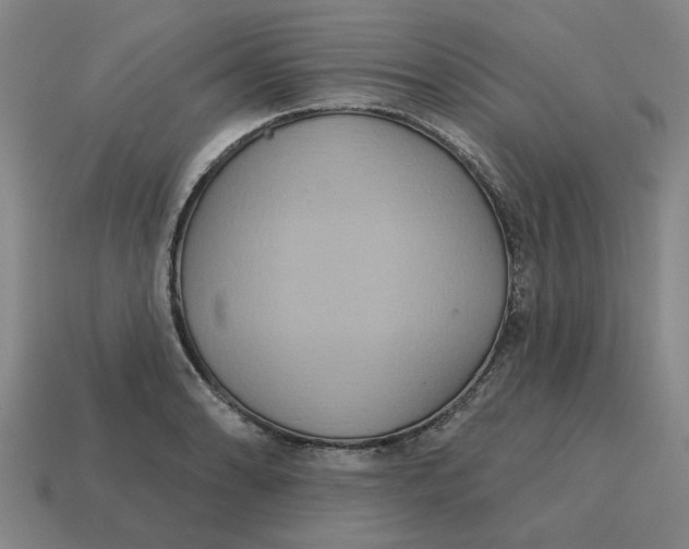 X0000114421086200911061617