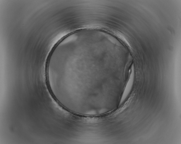 X0000114421087200911061617