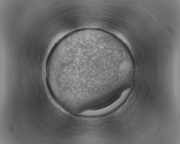X0000114421088200911061617
