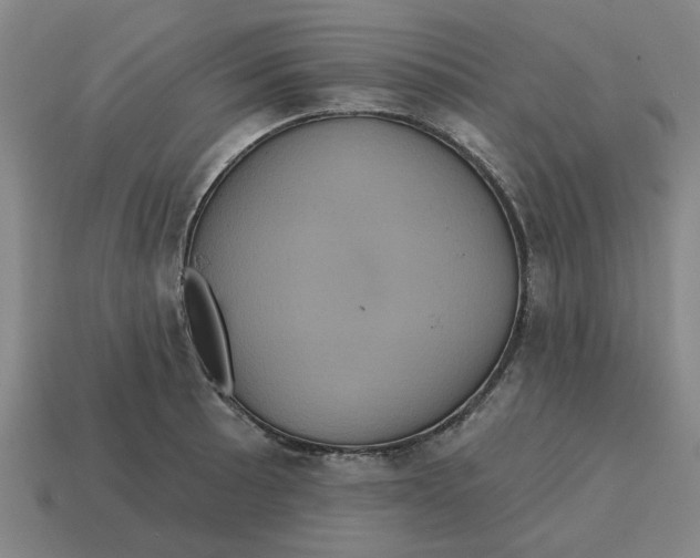 X0000114421089200911061617