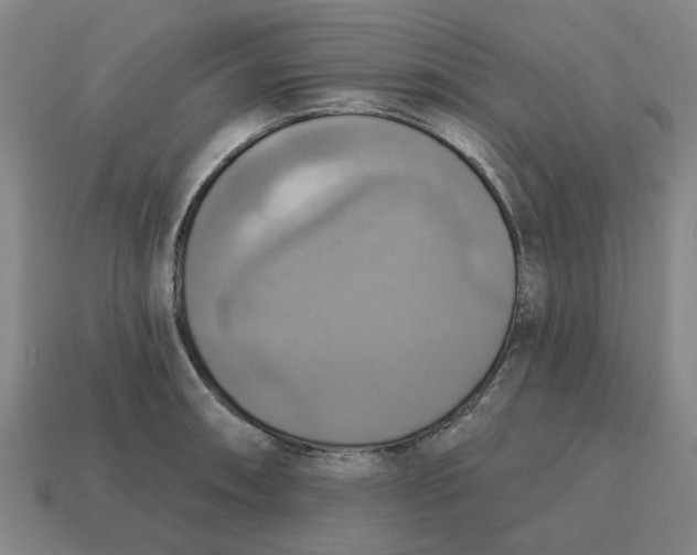X0000114421090200911061617