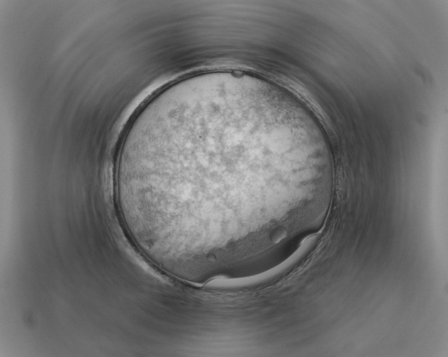 X0000114421092200911061617