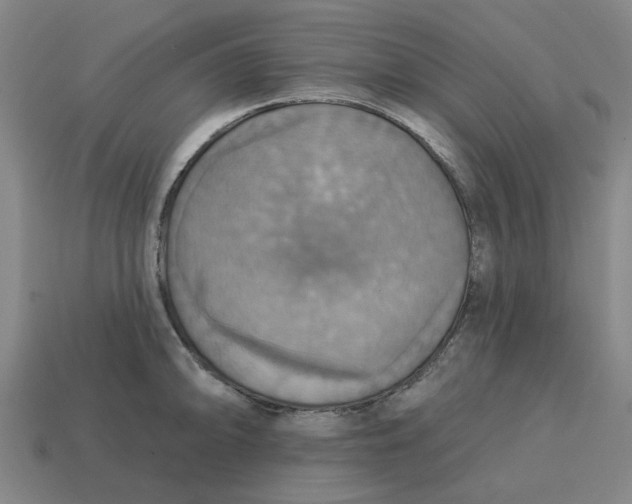 X0000114421094200911061617