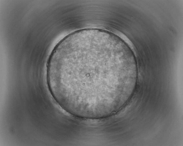 X0000114421096200911061617