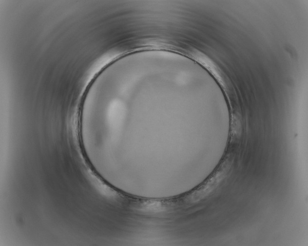 X0000114421098200911061617