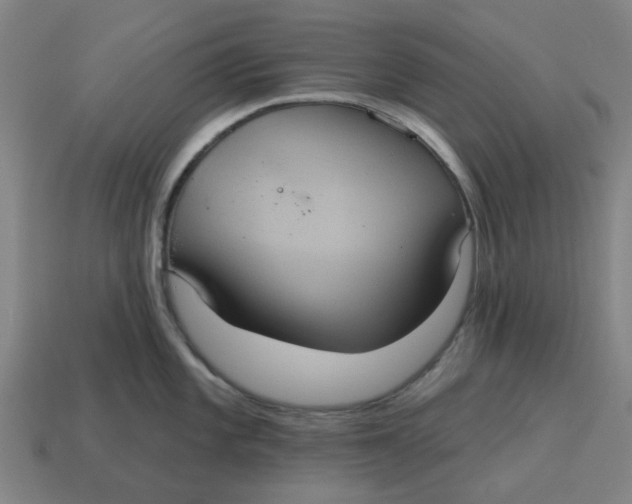 X0000114421101200911061617