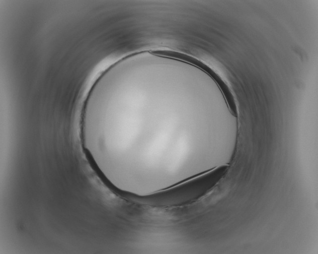 X0000114421104200911061617
