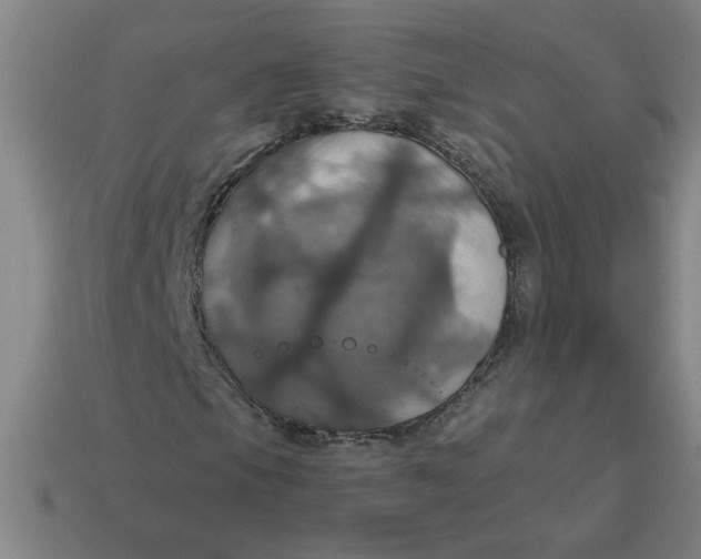 X0000114421105200911061617