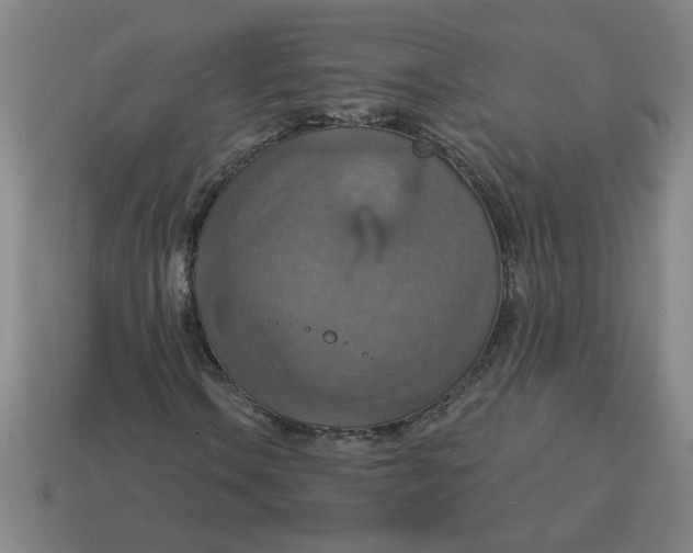 X0000114421106200911061617