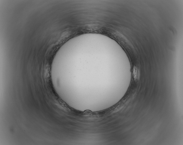 X0000114421107200911061617