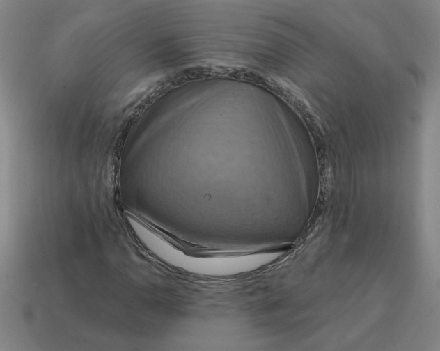 X0000114421110200911061617