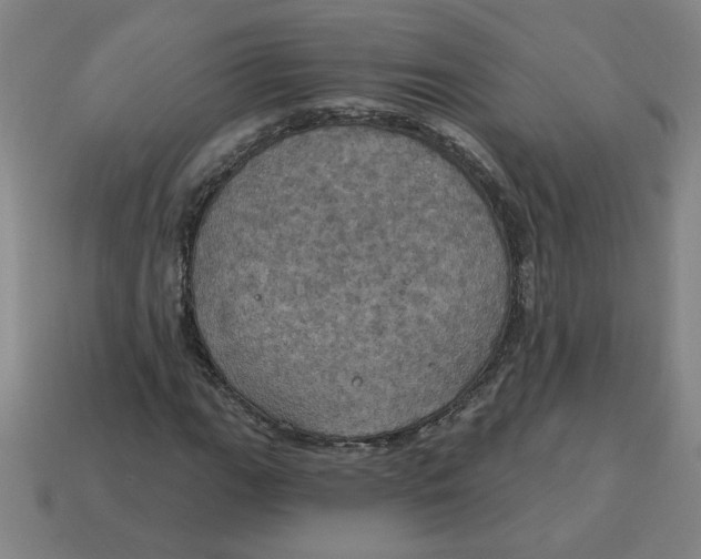 X0000114421111200911061617