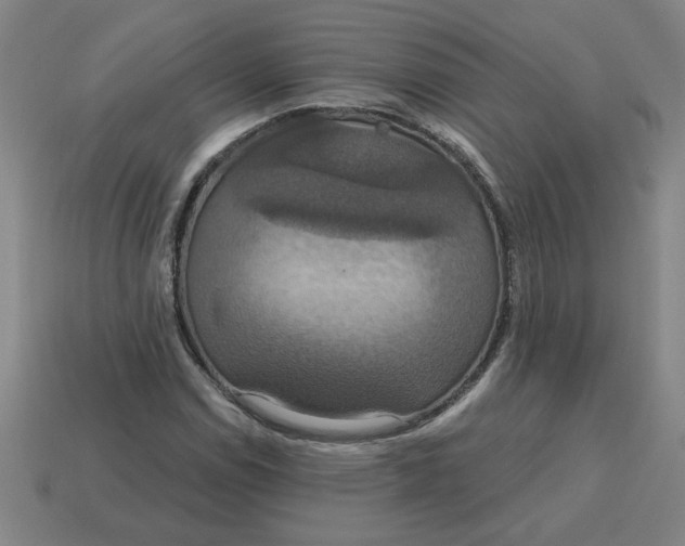 X0000114421114200911061617