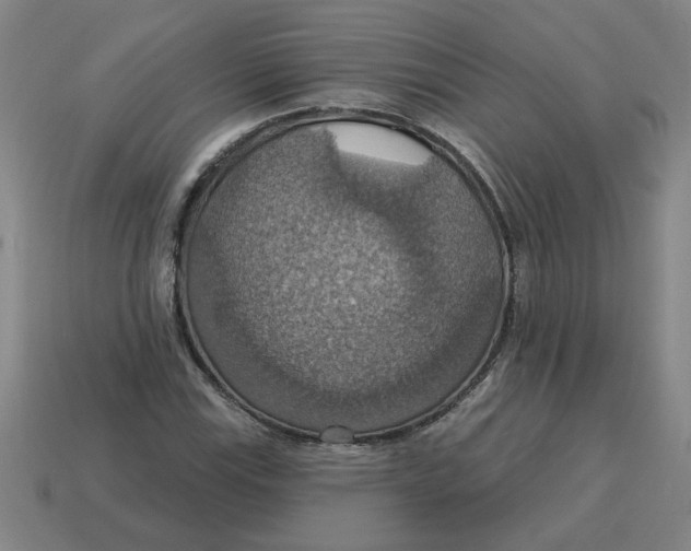 X0000114421115200911061617