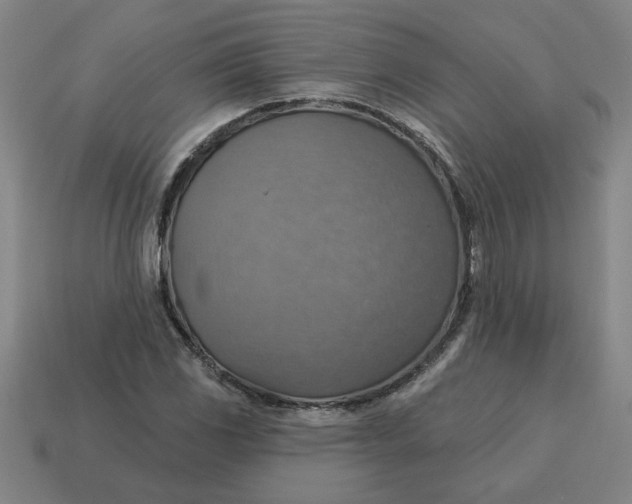X0000114421117200911061617