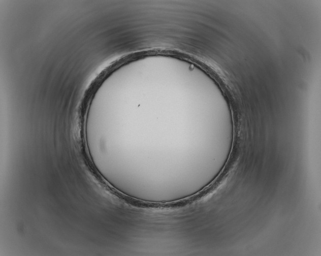 X0000114421118200911061617