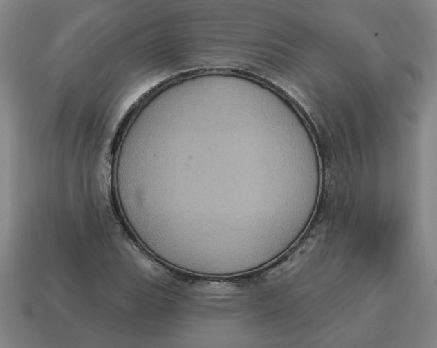 X0000114421119200911061617