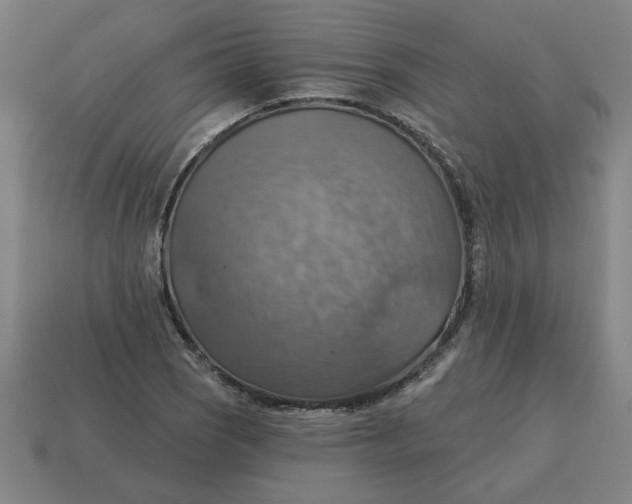 X0000114421121200911061617
