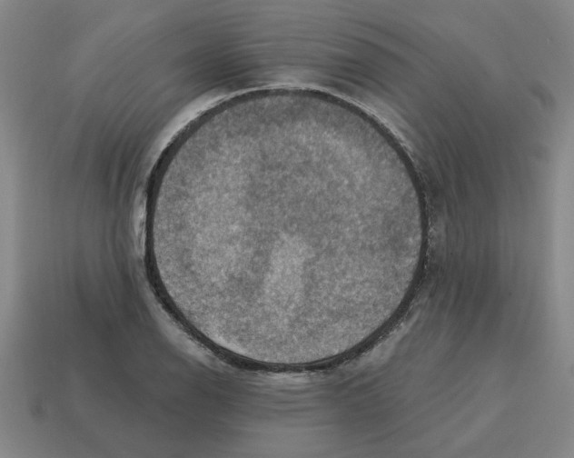 X0000114421126200911061617