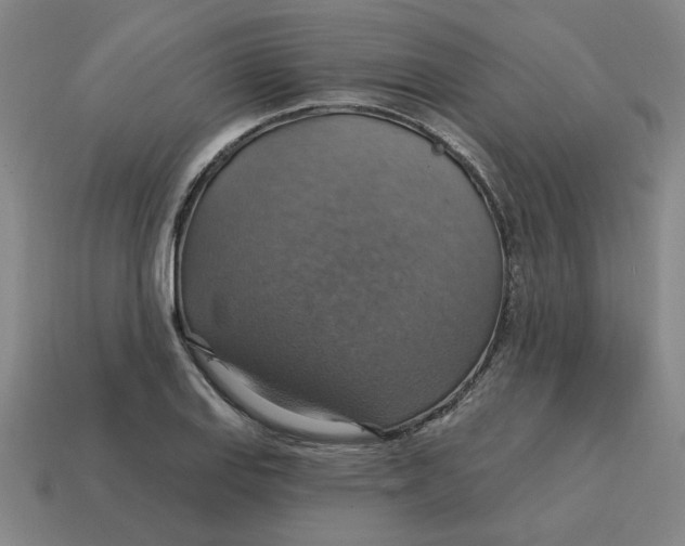 X0000114421127200911061617