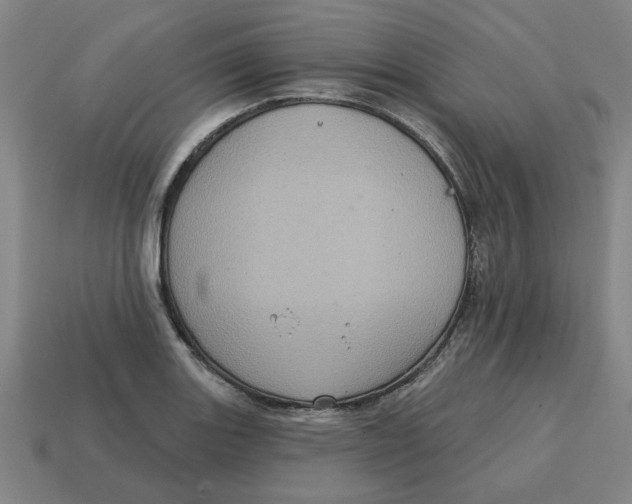 X0000114421131200911061617