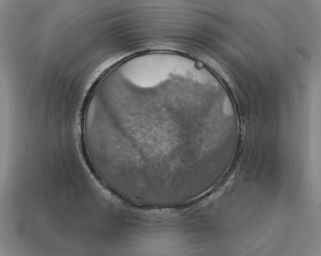 X0000114421133200911061617