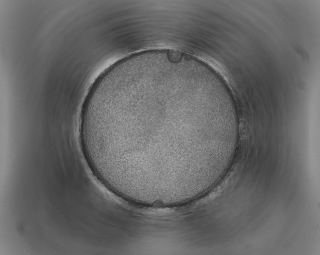 X0000114421135200911061617