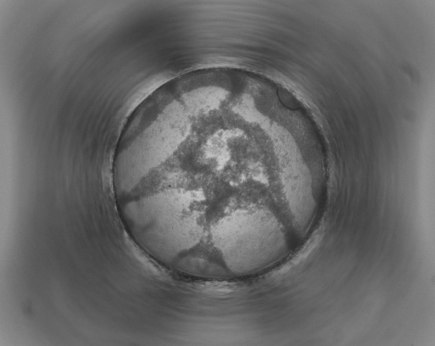 X0000114421137200911061617