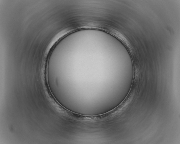 X0000114421138200911061617