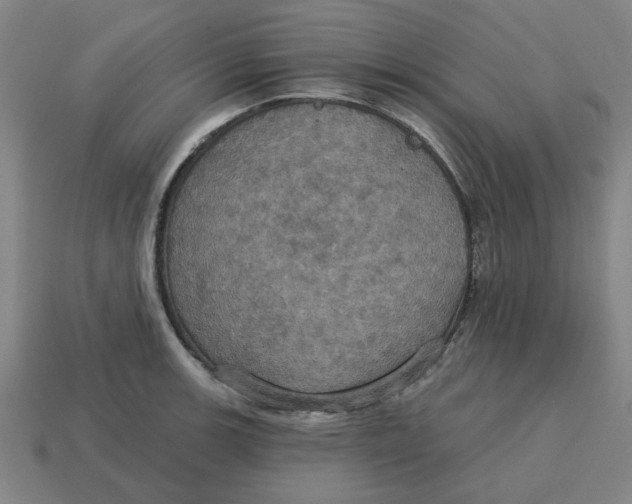 X0000114421139200911061617