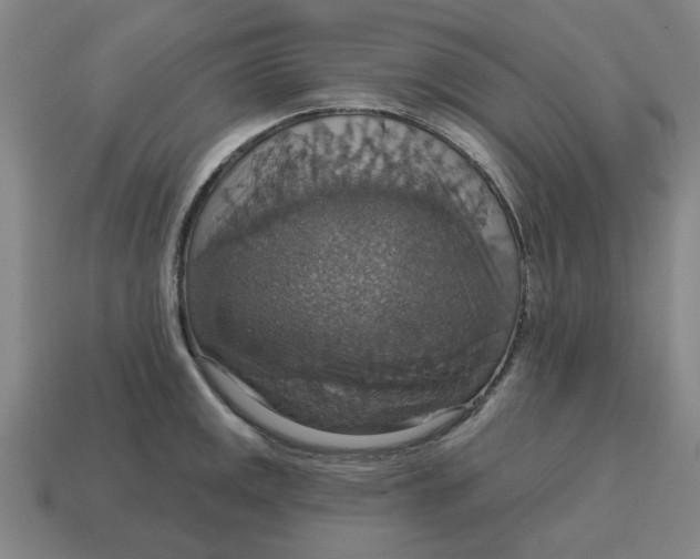 X0000114421141200911061617