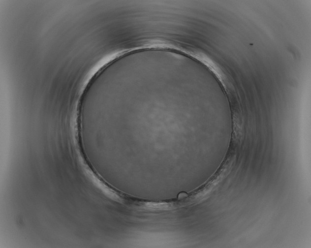 X0000114421142200911061617