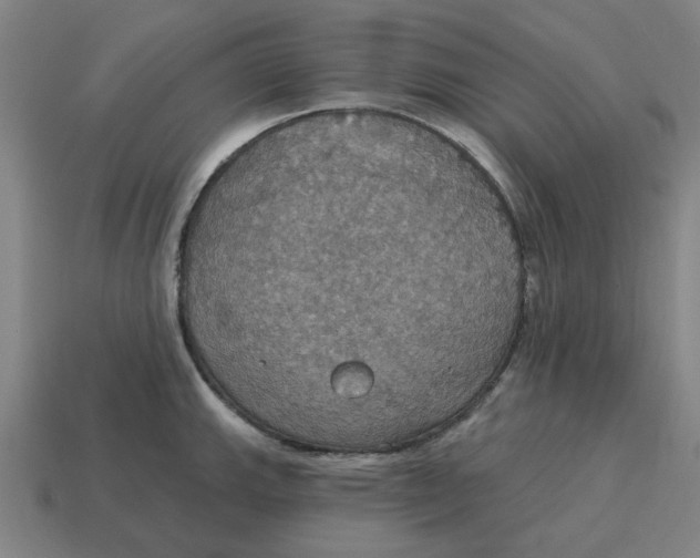 X0000114421143200911061617