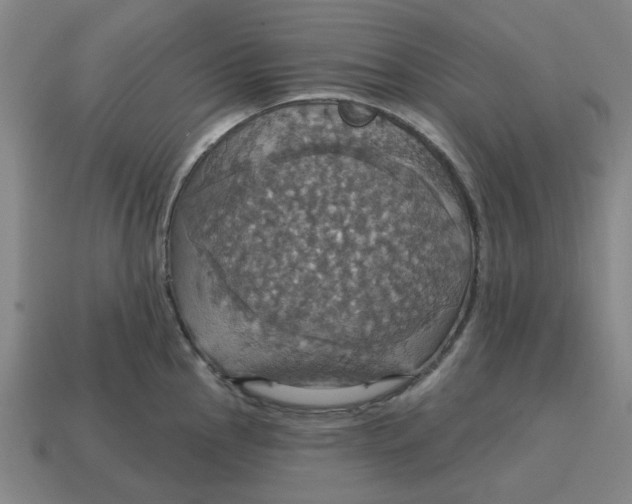 X0000114421145200911061617