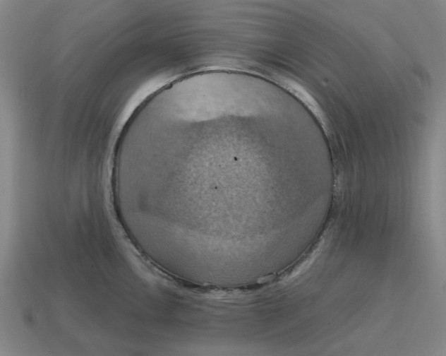 X0000114421146200911061617