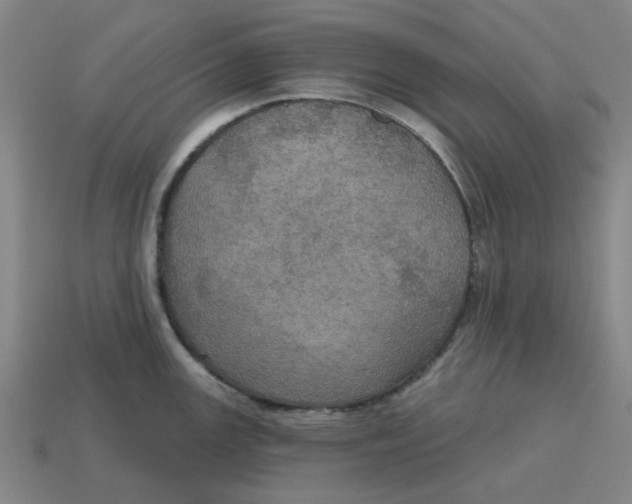 X0000114421147200911061617