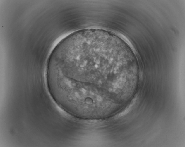 X0000114421149200911061617