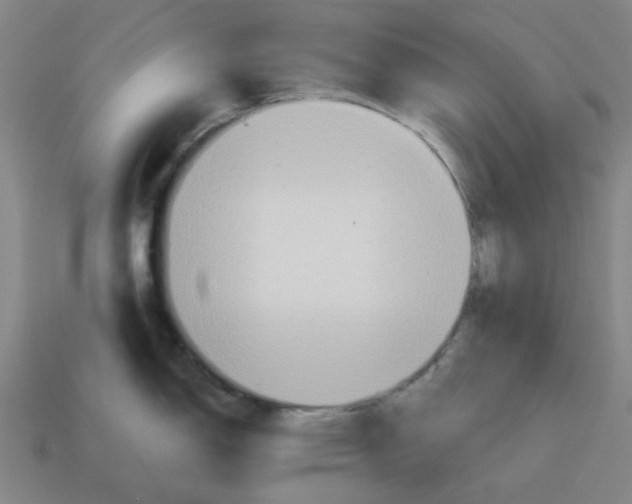 X0000114421150200911061617