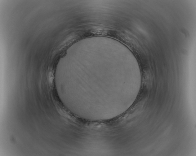 X0000114421154200911061617