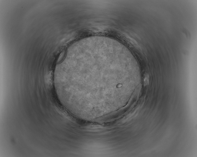 X0000114421156200911061617