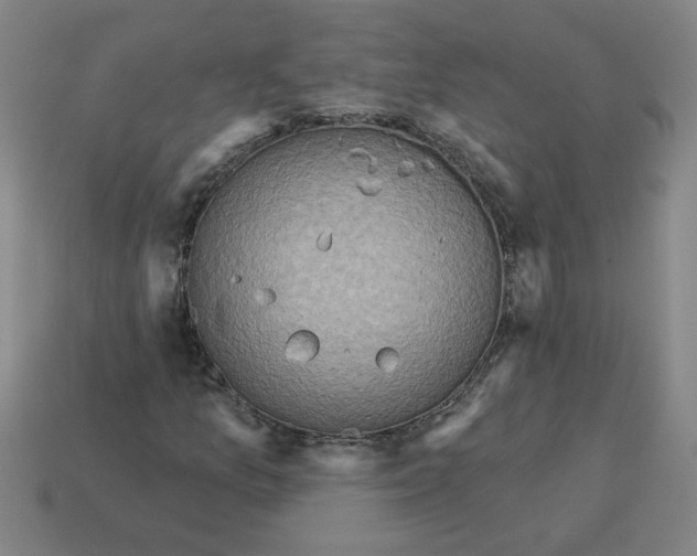 X0000114421157200911061617