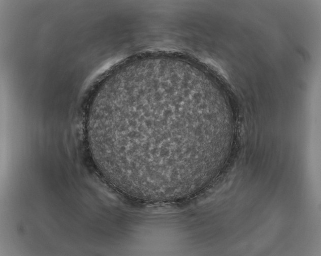 X0000114421159200911061616