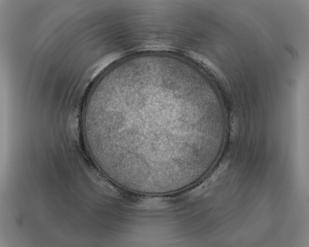 X0000114421162200911061616