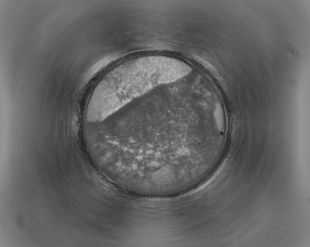 X0000114421163200911061616