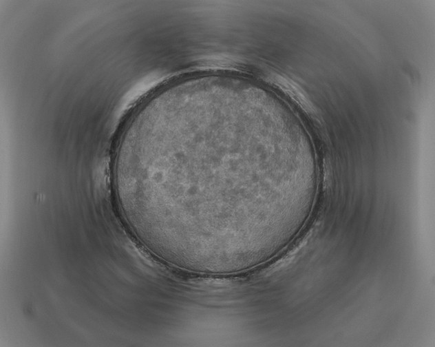 X0000114421164200911061616