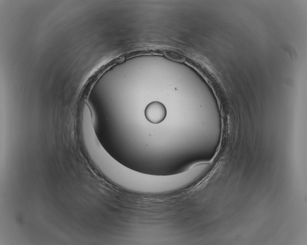 X0000114421165200911061616