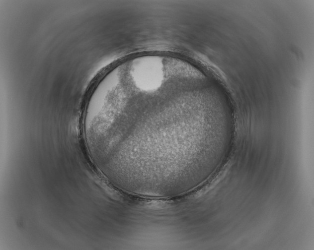 X0000114421166200911061616